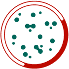 Microbiological Test