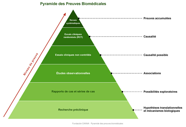Cómo navegar la ciencia y la evidencia del uso médico del cannabis: tipos de estudios, sesgos y pensamiento crítico