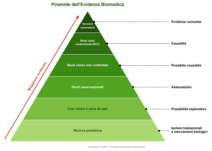 Cómo navegar la ciencia y la evidencia del uso médico del cannabis: tipos de estudios, sesgos y pensamiento crítico