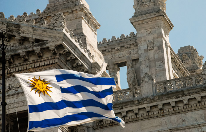 Conoce a los expertos: Experiencia Uruguay