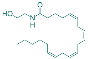 Plantas tradicionales que involucran el sistema endocannabinoide y su potencial medicinal