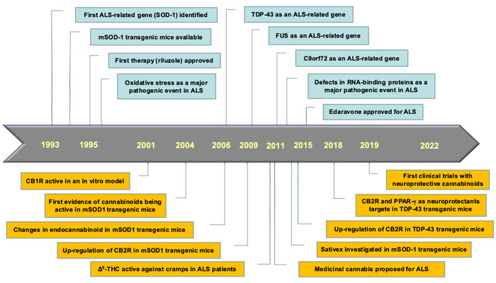 Terapias basadas en cannabinoides para la esclerosis lateral amiotrófica: una oportunidad en marcha