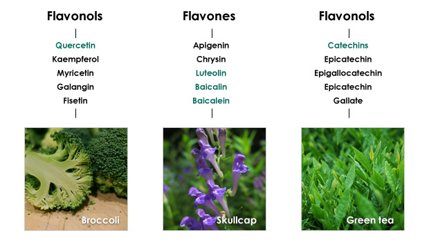 Flavonoids