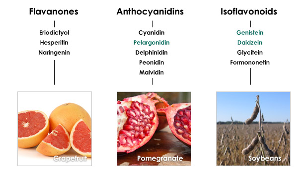 Flavonoids