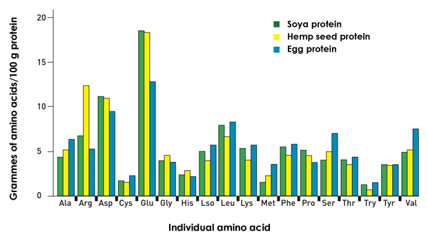 Proportion of amino acids to the total protein content of hemp seeds, soya and egg whites