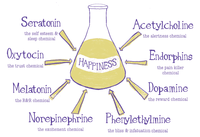 The pursuit of happiness and what cannabinoids have to do with it