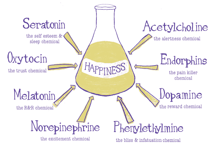 La búsqueda de la felicidad y lo que tienen que ver los cannabinoides con ello