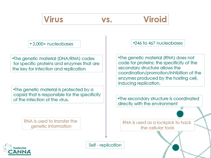 VIRUS OR...?