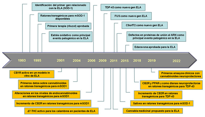 Terapias basadas en cannabinoides para la esclerosis lateral amiotrófica: una oportunidad en marcha