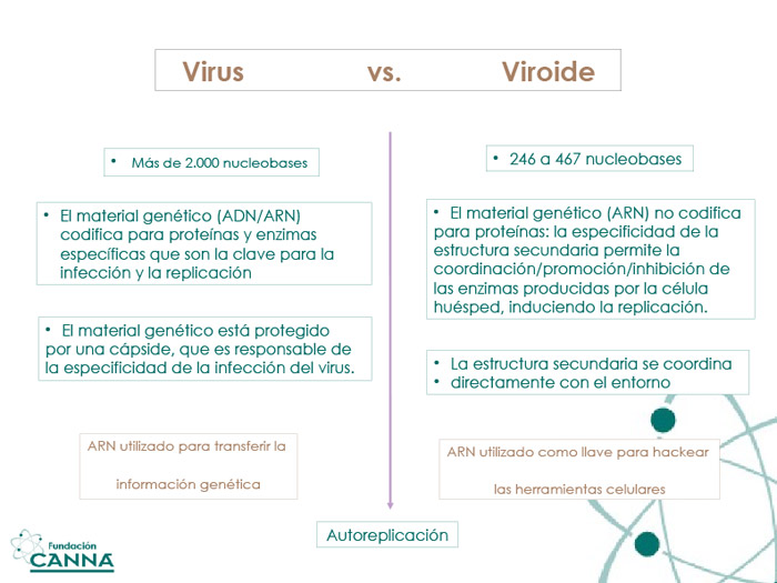 ¿VIRUS O...?