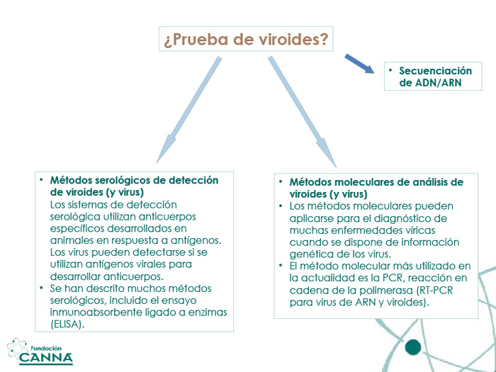 ¿VIRUS O...?