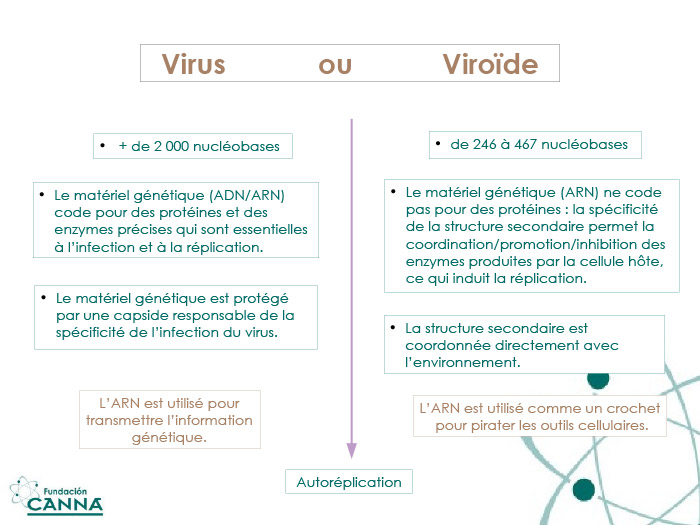 ¿VIRUS O...?