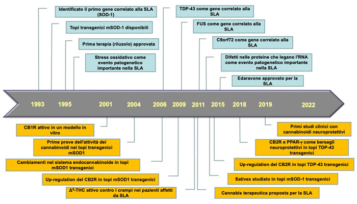 Terapias basadas en cannabinoides para la esclerosis lateral amiotrófica: una oportunidad en marcha