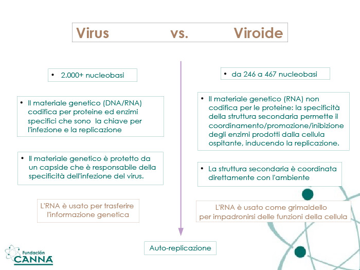 ¿VIRUS O...?