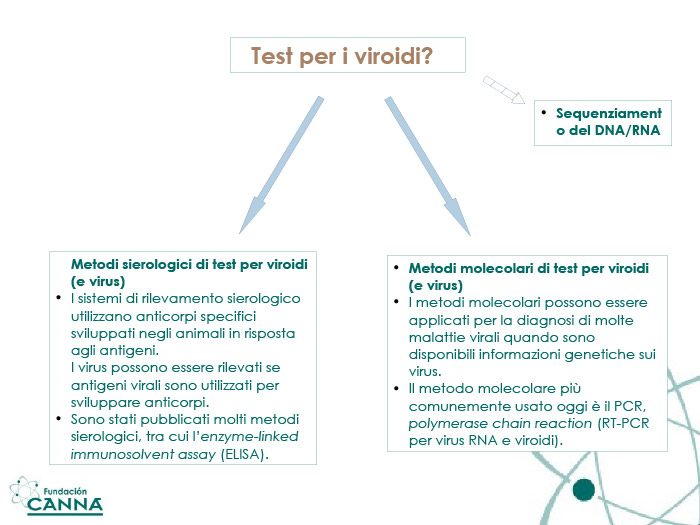 ¿VIRUS O...?