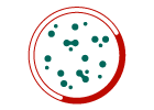 Analyse microbiologique